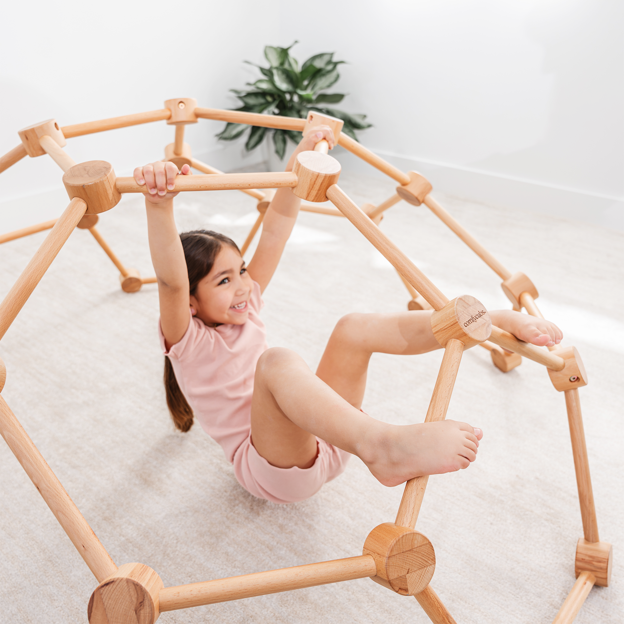 Dome Climber- Natural Wood