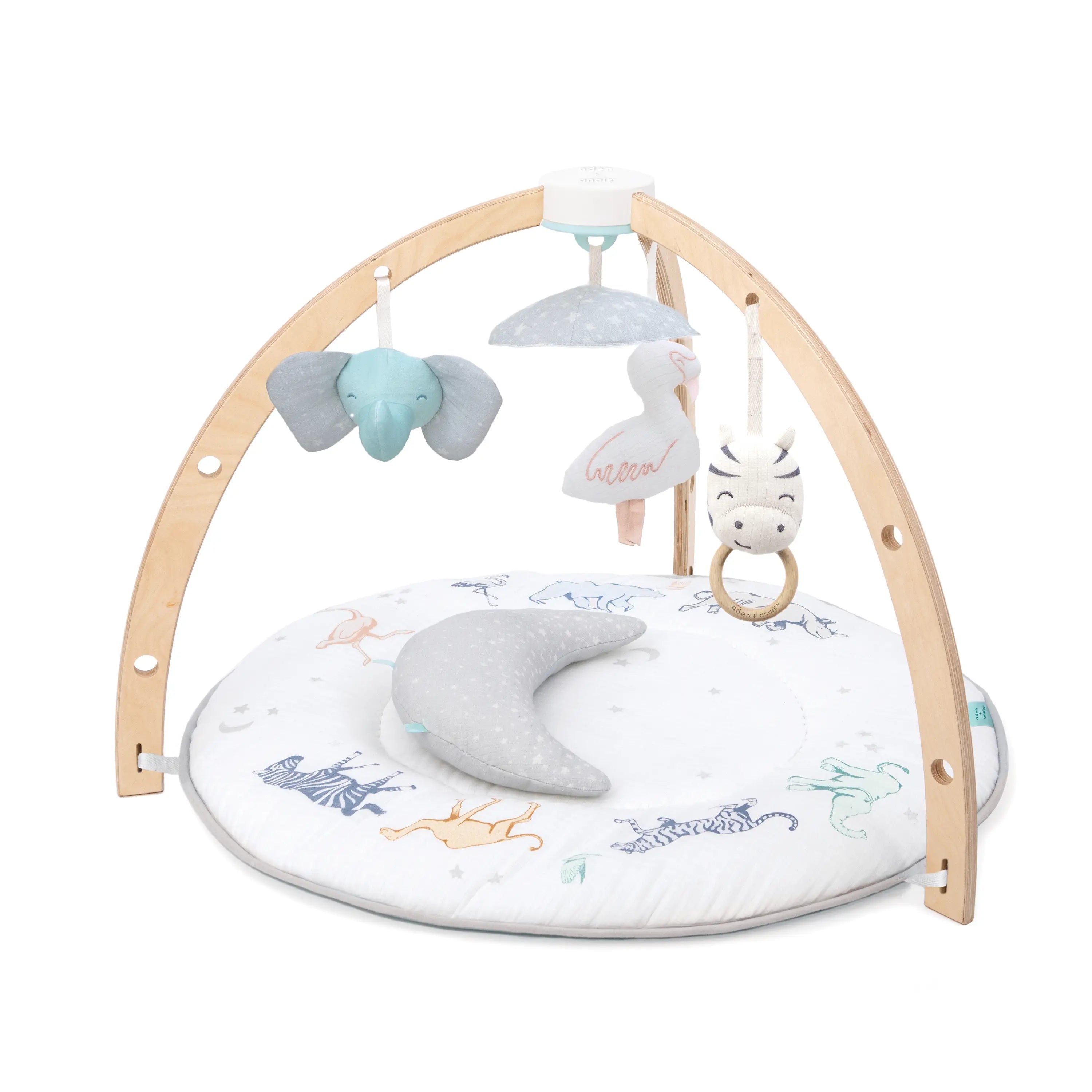 Aden + Anais Activity Gym -Rising Star