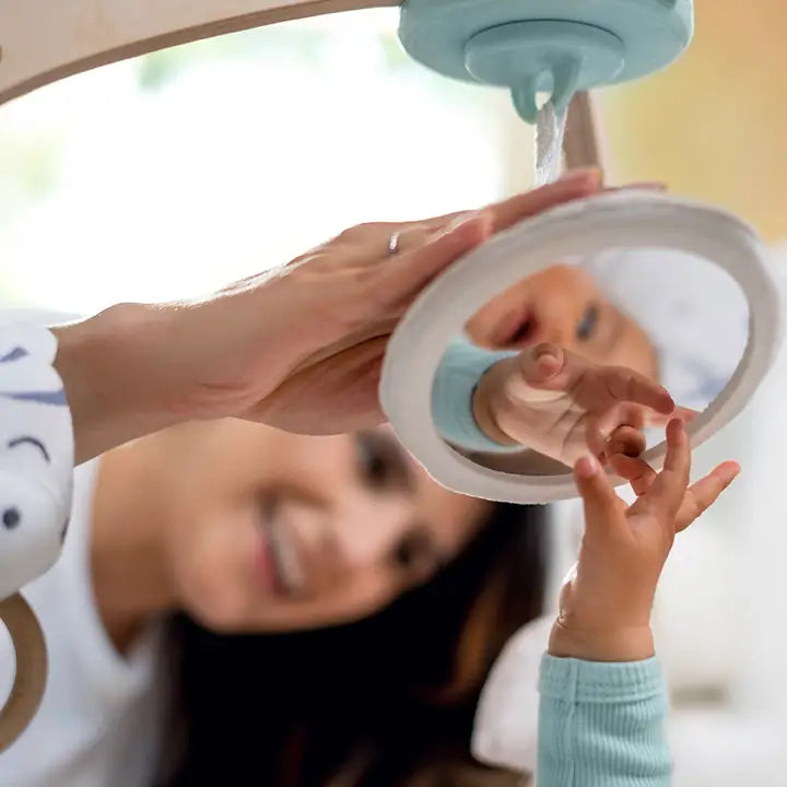 Aden + Anais Activity Gym -Rising Star