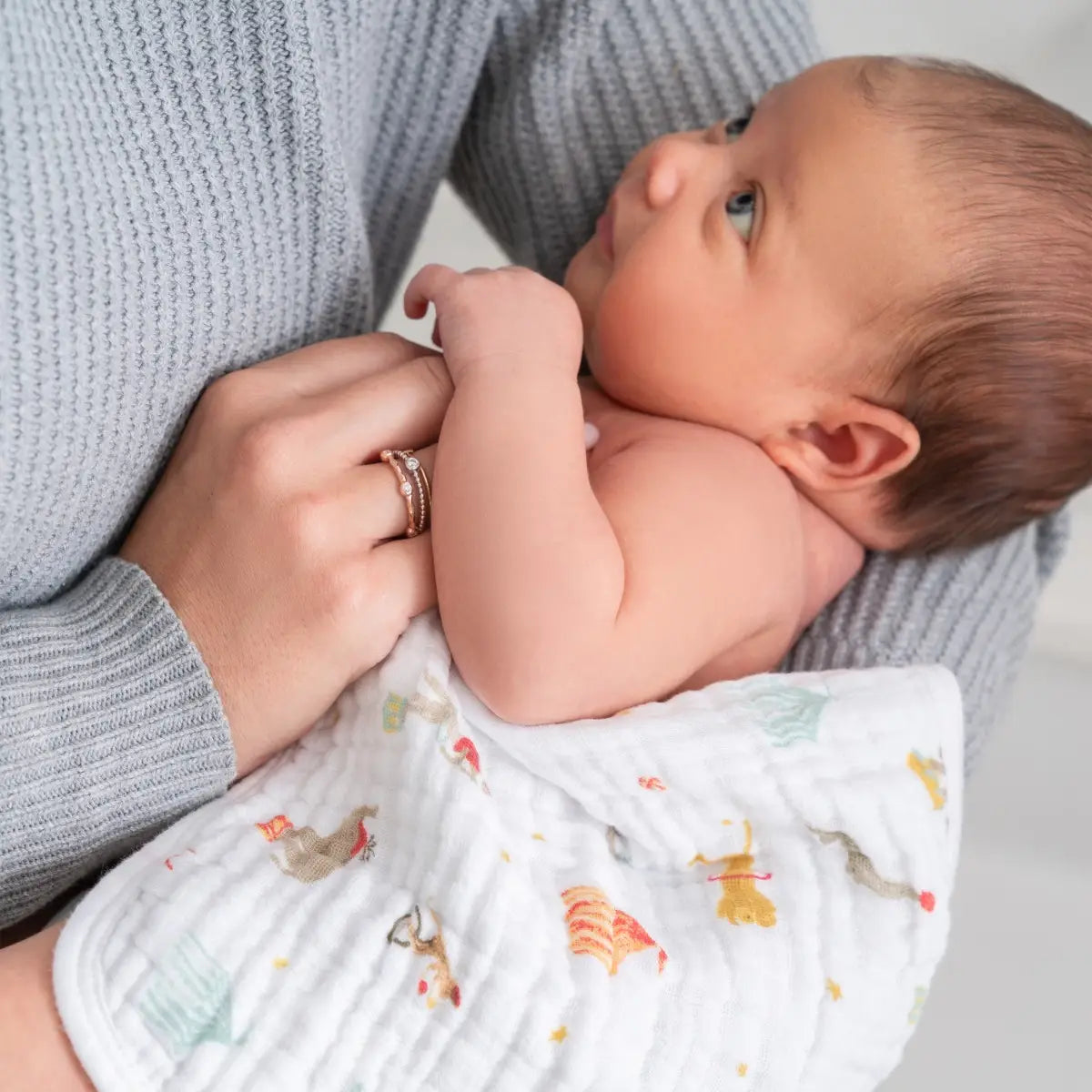 Aden + Anais Elephant Circus Washcloths- 3 Pack